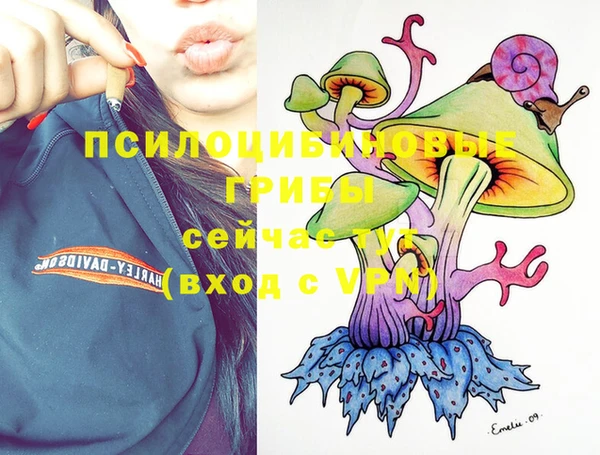 jwh Вязьма