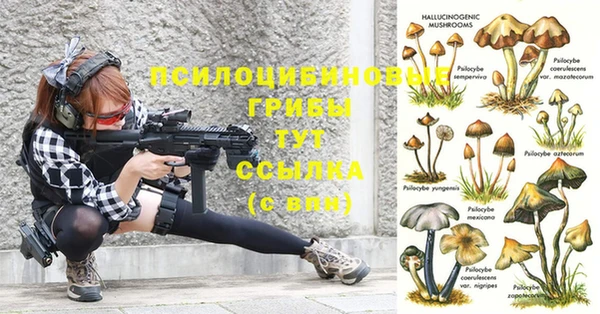 jwh Вязьма