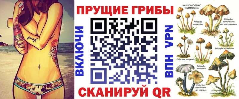 Купить где  Межгорье  Псилоцибиновые грибы MAGIC MUSHROOMS 
